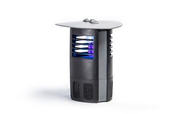 2386 - vue 2