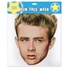 Petit masque d'ours brun pour enfant Petit masque d'ours brun pour enfant