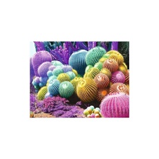 Puzzle 2000 pièces