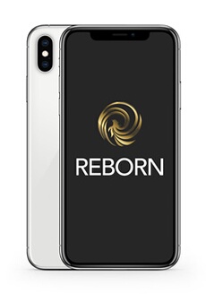 iPhone X 64Go Argent Reconditionne Grade A