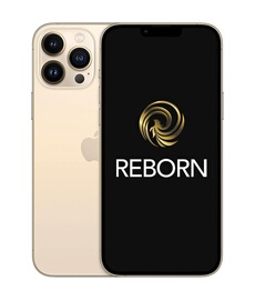 iPhone 13 Pro Max 128Go Or 5G Reconditionne Grade A