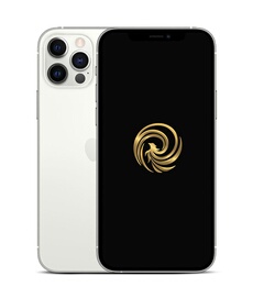 Apple iPhone 12 Pro 6,1 5G 128 Go Double SIM Argent Reconditionné Grade A Reborn