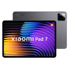 Pad 7 8/128 WiFi Gris