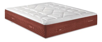 PERSEIDES TERR 80x190