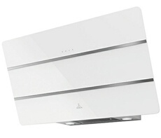 CAMELIA 800 - 5629997