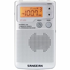 -DT-250 - Radio portable - argent