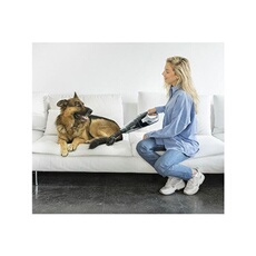 Aspirateur Manuel Conga PopStar Micro Animal 18,5 V 110W Noir