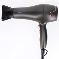 Sèche-cheveux professionnel 2400W Carbone