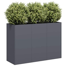 VIDAXL - Jardinière - 120x40x80 cm - Anthracite