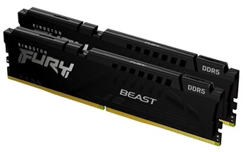 FURY Beast 64 Go (Kit de 2 x 32 Go) DDR5 5600 MHz CL36