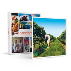 - Coffret Cadeau A la découverte de nos vignobles-Gastronomie