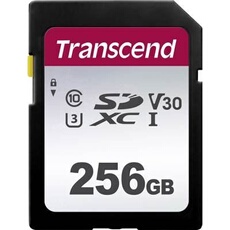 300S - Carte mémoire flash - 256 Go - Video Class V30 / UHS-I U3 / Class10 - SDXC UHS-I