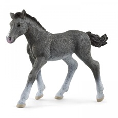 13944 Poulain trakehnen Figurine