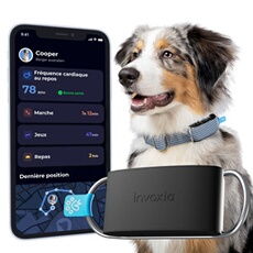 MINITAILZ DOG COLAR (ABONNEMENT 1 AN)