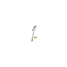 Taille-haies/élagueuse perche GP-HC 18/5020 Li T BL-Solo - 18V - OREGON 18cm - télescopique - sans batterie/chargeur