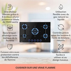 Acheter Plaque de cuisson gaz 5 foyers 4000 W 50 cm Bon état - 280,99 € Plaque de cuisson gaz 5 foyers 4000 W 50 cm Bon état - Klarstein reconditionné disponible sur Darty
