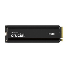 P510 1TB PCIe Gen5 NVMe 2280 M.2 with heatsink