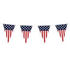 ligne de drapeau usa 30x20cm 6 mètre