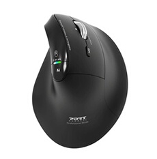 PORT Connect Ergo Auditor - vue 2