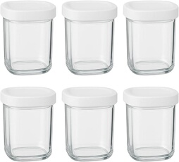 6 Pots de Yaourt en Verre Delices Express XF1001E1