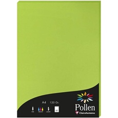 Papier - A4 - Pollen - Vert menthe - 120g - 50 feuilles -