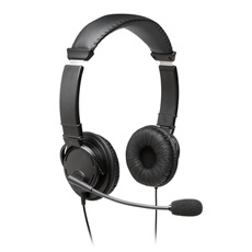 USB Hi-Fi Headphones with Mic - Micro-casque - sur-oreille - filaire - USB-A - noir