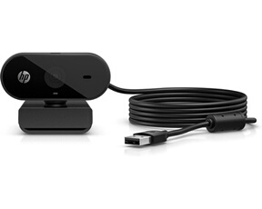 325 - Webcam - panoramique - couleur - 1920 x 1080 - audio - USB 2.0