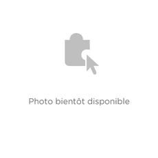 Manette table de cuisson Non renseigné Ressort manette pour cuisiniere Far 37012495