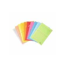 Chemises à fenêtre - 100 pièces - 160 g/m² - 22 x 31 cm - Assorties