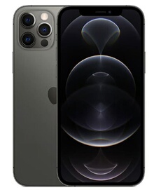Acheter iPhone 12 Pro Max 6,7'' 256 Go noir Reconditionné Nouvelle batterie Très bon état - 315,00 € iPhone 12 Pro Max 6,7'' 256 Go noir Reconditionné Nouvelle batterie Très bon état - reconditionné disponible sur Darty