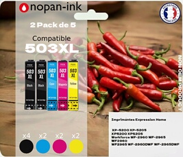 Pack de 10 Cartouches compatible pour Epson 503XL Noir & Couleurs