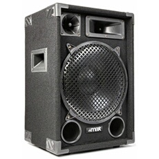 Max12 - Enceinte Sono Passive, Puissance de 700 Watts, Woofer de 12 Pouces