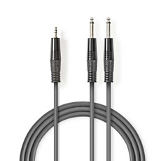 Nedis Gris Câble Audio Stéréo 2X 6,35 Mm Mâles - 3,5 Mm Mâle 3,0 M