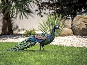 Paon décoratif stylisé en acier pour jardin