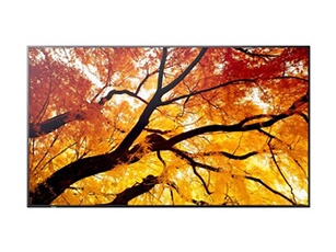 Sharp MultiSync M432 - Classe de diagonale 43" (42.5" visualisable) - M2 Series écran LCD rétro-éclairé par LED - signalisation numérique - avec