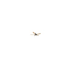 Ventilateur de Plafond EnergySilence Aero 540 60W