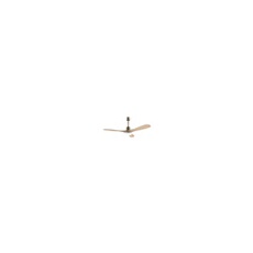 Ventilateur de plafond EnergySilence Aero 5290 Golden Pro