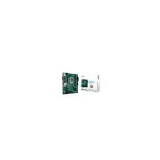 Pro H610M-C-CSM - Carte-mère - micro ATX - Socket LGA1700 - H610 Chipset - USB 3.2 Gen 1, USB 3.2 Gen 2 - Gigabit LAN - carte graphique embarquée
