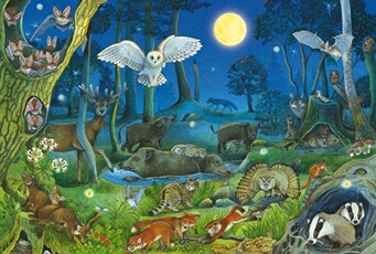 Puzzle 100 pieces Animaux dans la foret nocturne