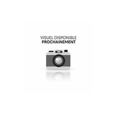 Disque DS225+