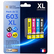 Pack de 12 Cartouches compatible pour Epson 603XL Noir et Couleurs