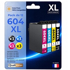 Cartouche d'encre Pack de 12 604XL Noir et Multicolore compatible pour Epson