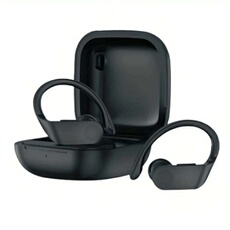 Ecouteurs sans fil - DW2012 - Noir