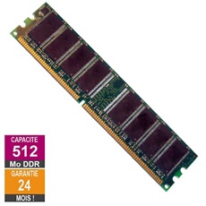 Mémoire RAM 512 Go (1 x 512 Go) UDIMM