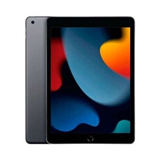 Tablette iPad 10 10.2'' 256 Go Gris