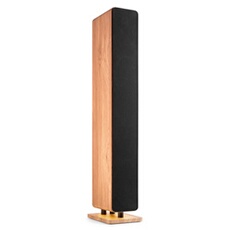 Enceinte bluetooth Audizio ARCO Radio DAB+ Chêne Clair