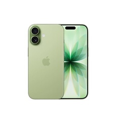 iPhone 17 6,3" 5G Double SIM 256 Go Vert Sauge Reconditionné avec Batterie neuve