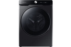 WF20DG8650BV EcoBubble 20 kg