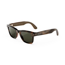 Ray-Ban (Gen 3) Wayfarer