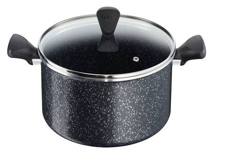 24 cm Iron Tefal C9934602 Ceramic Control GV5 Faitout avec Couvercle Aluminium